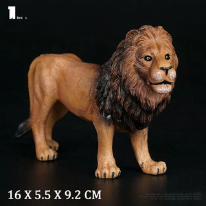 Lion No Box