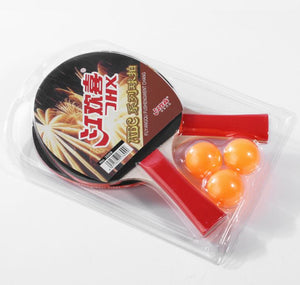 Ping pong paddle