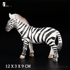 Zebra No Box