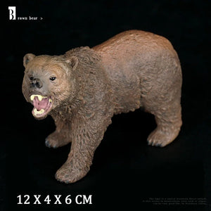 Bear No Box