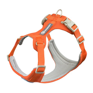 Tropical Orange