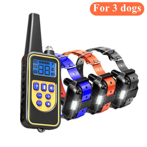 For 3 dogs-C