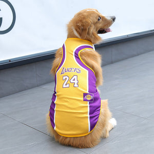 Purple and Yellow #24 Lakers