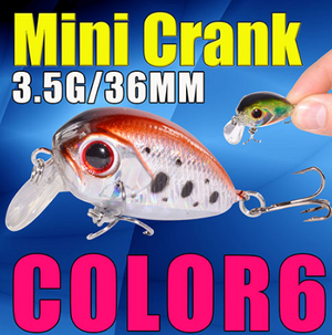 color 6