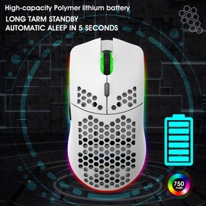 T66 Black RGB Wireless Mouse