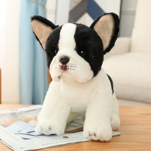 Sitting Bulldog