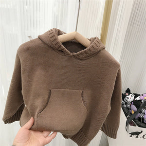 Hooded sweater with coffee color inside