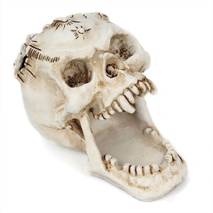 Skull storage