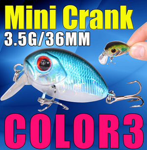 color 3