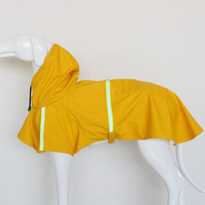 Classic Yellow