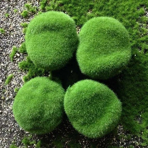 4-Pack Price 7cm Diameter Style B