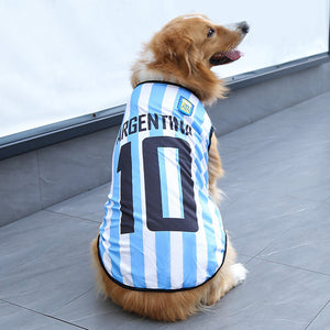 White Blue No.10 Argentina