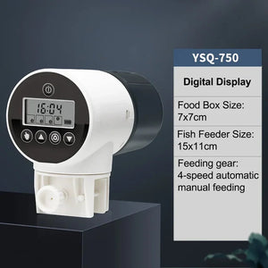 Digital Display