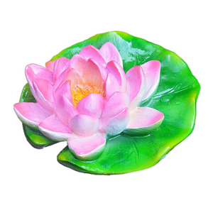 Small and medium-sized pink lotus