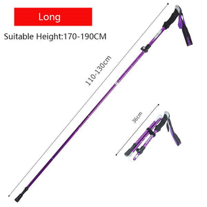 Purple 110-130