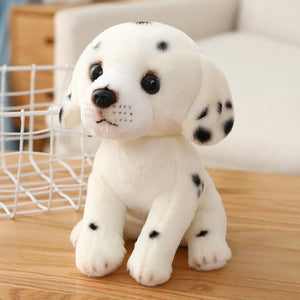 Dalmatian
