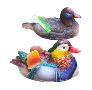 Medium Dark Floating Mandarin Duck