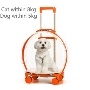 K9 Orange
