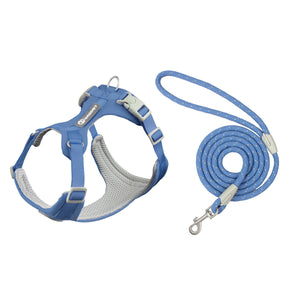 Ultramarine Blue Set