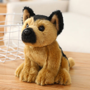 German Shepherd