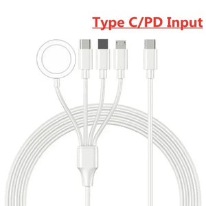 White Type C Input
