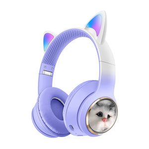 AKZ 09 Simulation Cat Purple