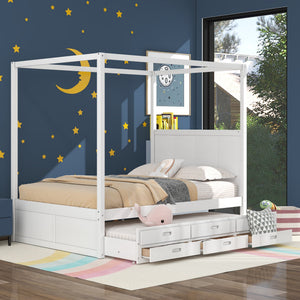 White + Pine