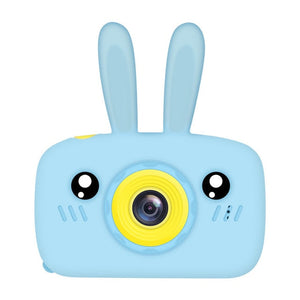 Blue rabbit