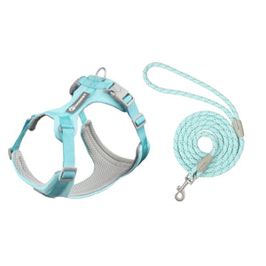Sky Blue Set