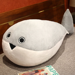 Noseless turtle