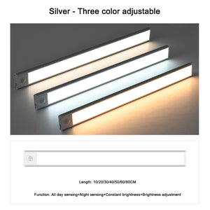 Silver (tri color dimming)