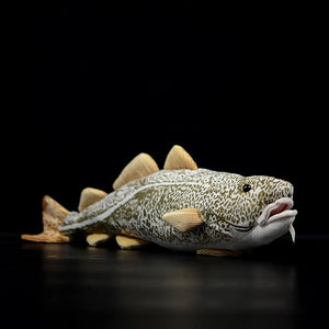 Codfish