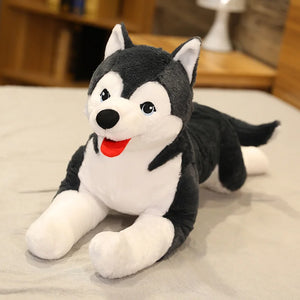 husky 67cm