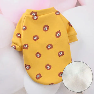 Yellow Bear