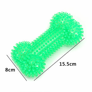 Green Bone Dog Toy