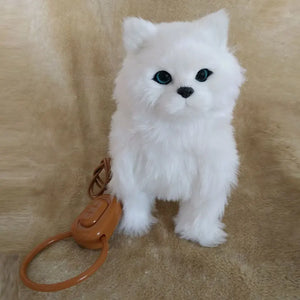 White Cat