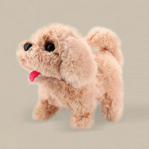 Dog B