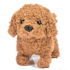 Dog C