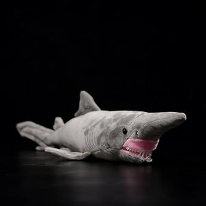 Goblin Shark