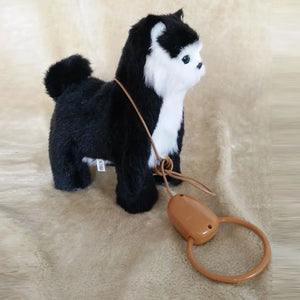 Black Cat