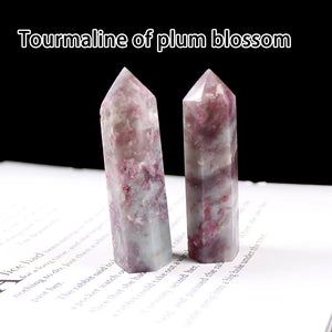 Plum blossom