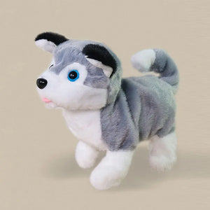 Dog F