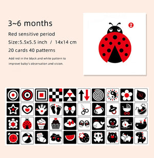 3-6 months