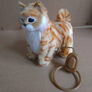 Yellow Cat