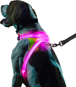 Lighthound Harness