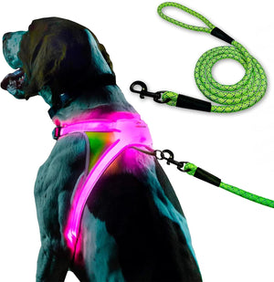 Lighthound Harness With Leash