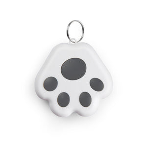 Dog's Paw Gray