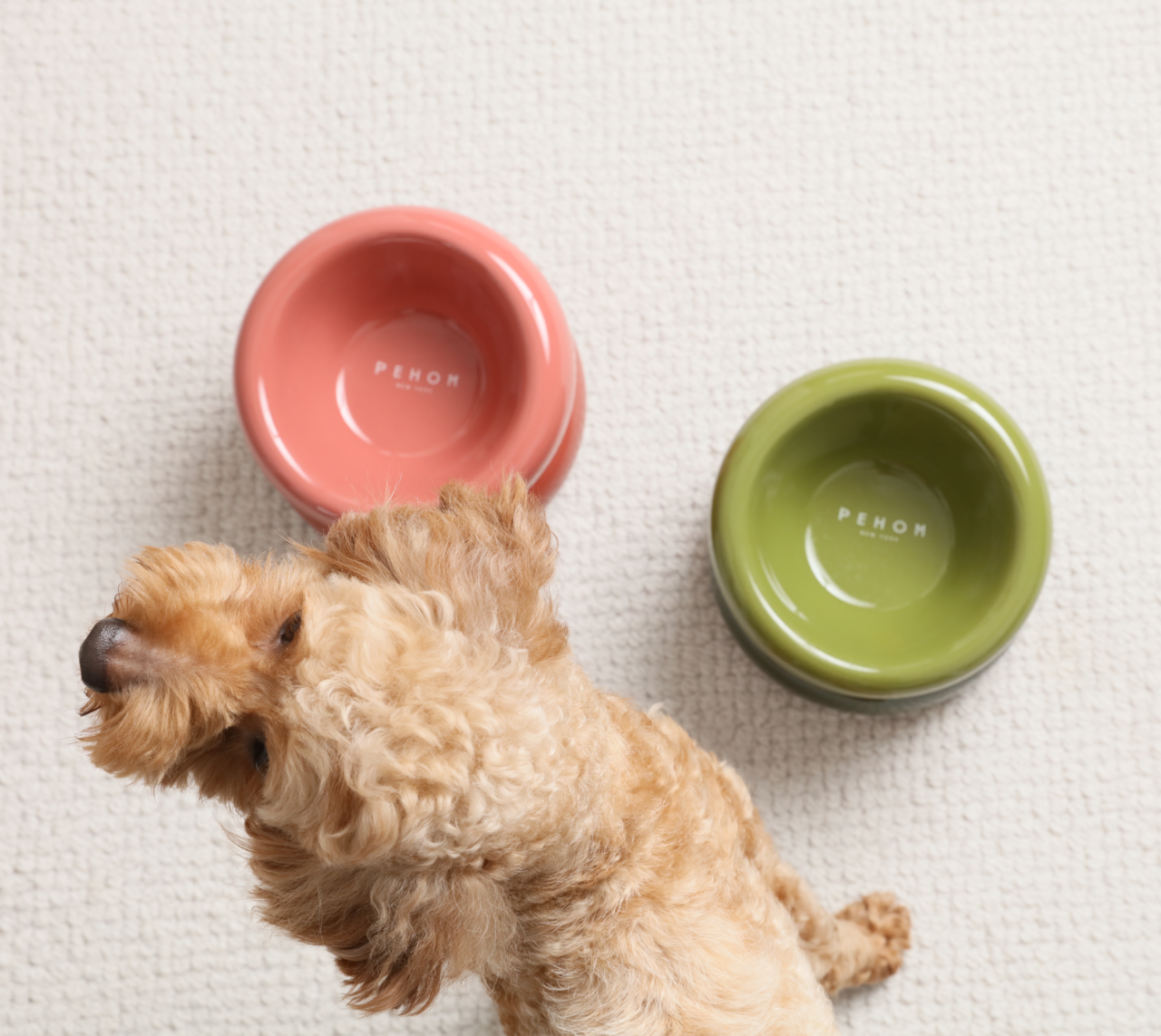 Soufflé Pet Bowl - Amber Orange - cavamart.com