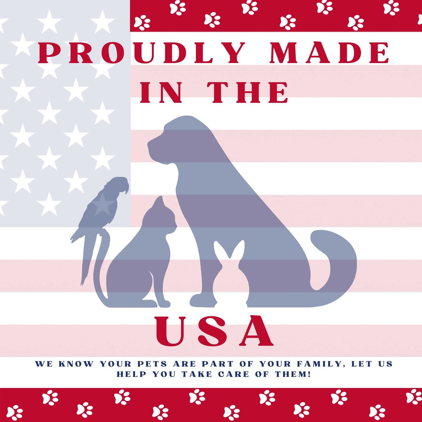 Piccardmeds4pets Derma-3 Omega-3 Liquid Supplement 8 oz Pump for Dogs & Cats + Free Bandana!