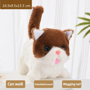 Bantam cat Brown